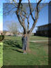 Me, by a tree, in front of my Dad's room.